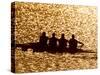 Silhouette of Men's Fours Rowing Team in Action, Atlanta, Georgia, USA-null-Stretched Canvas