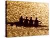 Silhouette of Men's Fours Rowing Team in Action, Atlanta, Georgia, USA-null-Stretched Canvas