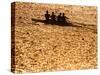 Silhouette of Men's Fours Rowing Team in Action, Atlanta, Georgia, USA-null-Stretched Canvas