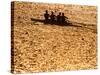 Silhouette of Men's Fours Rowing Team in Action, Atlanta, Georgia, USA-null-Stretched Canvas