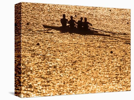 Silhouette of Men's Fours Rowing Team in Action, Atlanta, Georgia, USA-null-Stretched Canvas