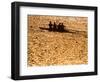 Silhouette of Men's Fours Rowing Team in Action, Atlanta, Georgia, USA-null-Framed Photographic Print