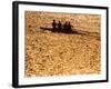 Silhouette of Men's Fours Rowing Team in Action, Atlanta, Georgia, USA-null-Framed Photographic Print