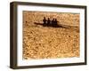 Silhouette of Men's Fours Rowing Team in Action, Atlanta, Georgia, USA-null-Framed Photographic Print