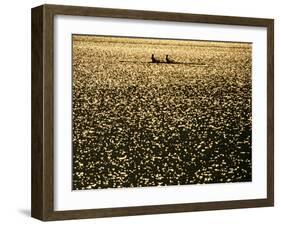 Silhouette of Men's Pairs Rowing Team in Action, Vancouver Lake, Georgia, USA-null-Framed Photographic Print