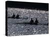 Silhouette of Men's Pairs Rowing Teams in Action, Atlanta, Georgia, USA-null-Stretched Canvas