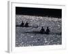 Silhouette of Men's Pairs Rowing Teams in Action, Atlanta, Georgia, USA-null-Framed Photographic Print