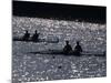 Silhouette of Men's Pairs Rowing Teams in Action, Atlanta, Georgia, USA-null-Mounted Photographic Print