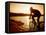 Silhouette of Mountain Biker at Sunset-null-Framed Stretched Canvas