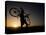 Silhouette of Mountain Biker at the Summit During Sunrise-null-Stretched Canvas