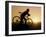 Silhouette of Mountain Biker at the Summit During Sunrise-null-Framed Photographic Print