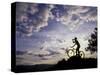 Silhouette of Mountain Biker Drinking at the Summit During Sunset-null-Stretched Canvas