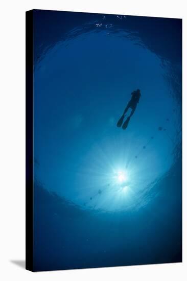 Silhouette of One Scuba Diver and Sunball Underwater, Fish Eye View, Egypt, North Africa, Africa-Mark Doherty-Stretched Canvas