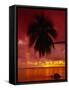 Silhouette of Overhanging Palm Tree, Colourful Sunset, Aitutaki, Cook Islands, Polynesia-D H Webster-Framed Stretched Canvas