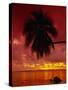 Silhouette of Overhanging Palm Tree, Colourful Sunset, Aitutaki, Cook Islands, Polynesia-D H Webster-Stretched Canvas