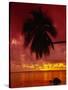 Silhouette of Overhanging Palm Tree, Colourful Sunset, Aitutaki, Cook Islands, Polynesia-D H Webster-Stretched Canvas