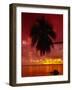 Silhouette of Overhanging Palm Tree, Colourful Sunset, Aitutaki, Cook Islands, Polynesia-D H Webster-Framed Photographic Print