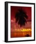 Silhouette of Overhanging Palm Tree, Colourful Sunset, Aitutaki, Cook Islands, Polynesia-D H Webster-Framed Photographic Print