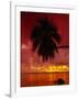 Silhouette of Overhanging Palm Tree, Colourful Sunset, Aitutaki, Cook Islands, Polynesia-D H Webster-Framed Photographic Print