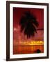 Silhouette of Overhanging Palm Tree, Colourful Sunset, Aitutaki, Cook Islands, Polynesia-D H Webster-Framed Photographic Print