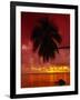 Silhouette of Overhanging Palm Tree, Colourful Sunset, Aitutaki, Cook Islands, Polynesia-D H Webster-Framed Photographic Print