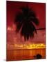 Silhouette of Overhanging Palm Tree, Colourful Sunset, Aitutaki, Cook Islands, Polynesia-D H Webster-Mounted Photographic Print