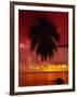 Silhouette of Overhanging Palm Tree, Colourful Sunset, Aitutaki, Cook Islands, Polynesia-D H Webster-Framed Photographic Print