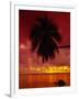 Silhouette of Overhanging Palm Tree, Colourful Sunset, Aitutaki, Cook Islands, Polynesia-D H Webster-Framed Photographic Print