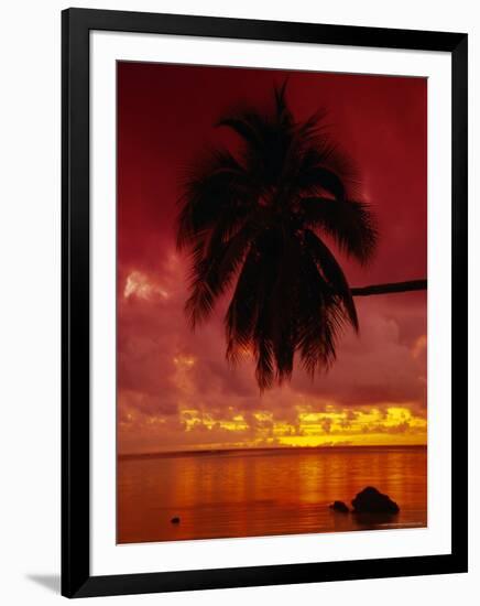 Silhouette of Overhanging Palm Tree, Colourful Sunset, Aitutaki, Cook Islands, Polynesia-D H Webster-Framed Photographic Print