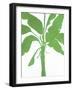 Silhouette of Palm 2-Filipo Ioco-Framed Giclee Print