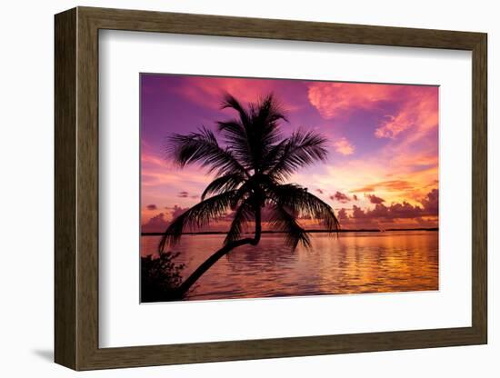 Silhouette of Palm Tree at Sunset-Philippe Hugonnard-Framed Photographic Print