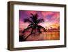 Silhouette of Palm Tree at Sunset-Philippe Hugonnard-Framed Photographic Print