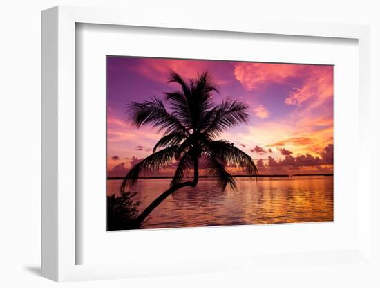 Silhouette of Palm Tree at Sunset-Philippe Hugonnard-Framed Photographic Print