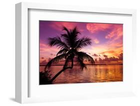 Silhouette of Palm Tree at Sunset-Philippe Hugonnard-Framed Photographic Print