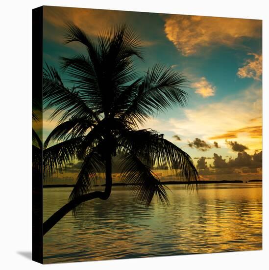 Silhouette of Palm Tree at Sunset-Philippe Hugonnard-Stretched Canvas