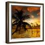 Silhouette of Palm Tree at Sunset-Philippe Hugonnard-Framed Photographic Print