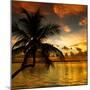 Silhouette of Palm Tree at Sunset-Philippe Hugonnard-Mounted Photographic Print