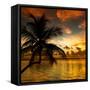 Silhouette of Palm Tree at Sunset-Philippe Hugonnard-Framed Stretched Canvas