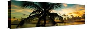 Silhouette of Palm Tree at Sunset-Philippe Hugonnard-Stretched Canvas