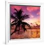 Silhouette of Palm Tree at Sunset-Philippe Hugonnard-Framed Photographic Print