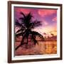 Silhouette of Palm Tree at Sunset-Philippe Hugonnard-Framed Photographic Print