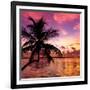 Silhouette of Palm Tree at Sunset-Philippe Hugonnard-Framed Photographic Print