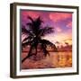 Silhouette of Palm Tree at Sunset-Philippe Hugonnard-Framed Photographic Print