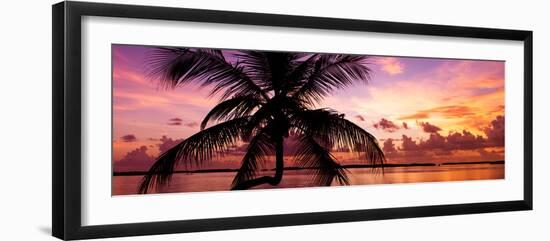 Silhouette of Palm Tree at Sunset-Philippe Hugonnard-Framed Photographic Print