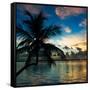 Silhouette of Palm Tree at Sunset-Philippe Hugonnard-Framed Stretched Canvas