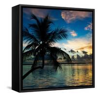 Silhouette of Palm Tree at Sunset-Philippe Hugonnard-Framed Stretched Canvas