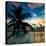 Silhouette of Palm Tree at Sunset-Philippe Hugonnard-Stretched Canvas