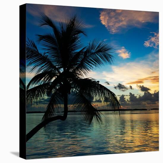 Silhouette of Palm Tree at Sunset-Philippe Hugonnard-Stretched Canvas