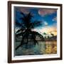 Silhouette of Palm Tree at Sunset-Philippe Hugonnard-Framed Photographic Print