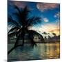 Silhouette of Palm Tree at Sunset-Philippe Hugonnard-Mounted Photographic Print